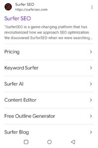 Surfer seo