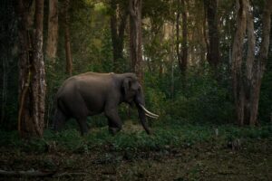 Top 10 Best Tourist Places to Visit in Karnataka (2025 Updated Guide)