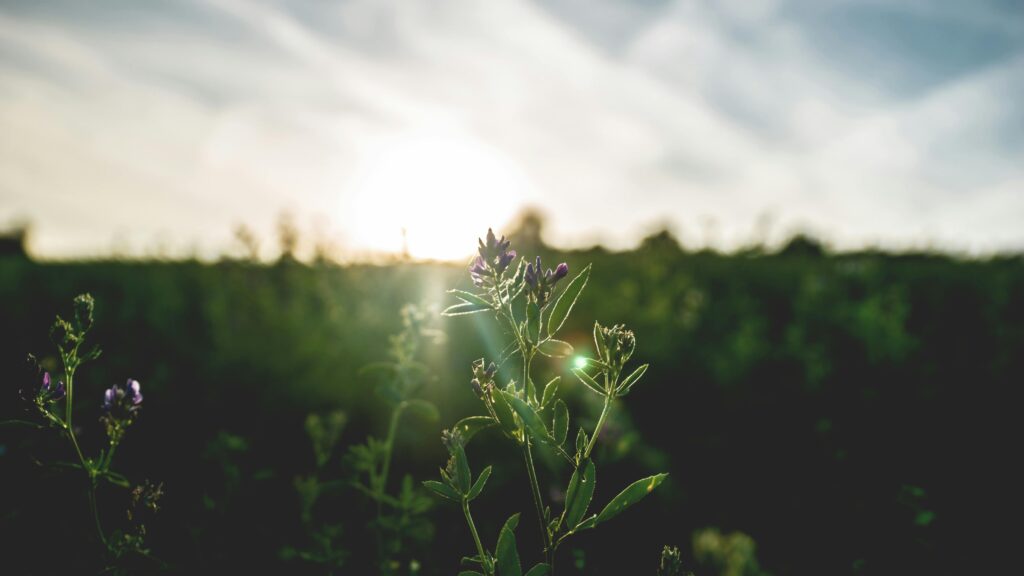 How to Build a Strong Morning Routine for a Successful Day