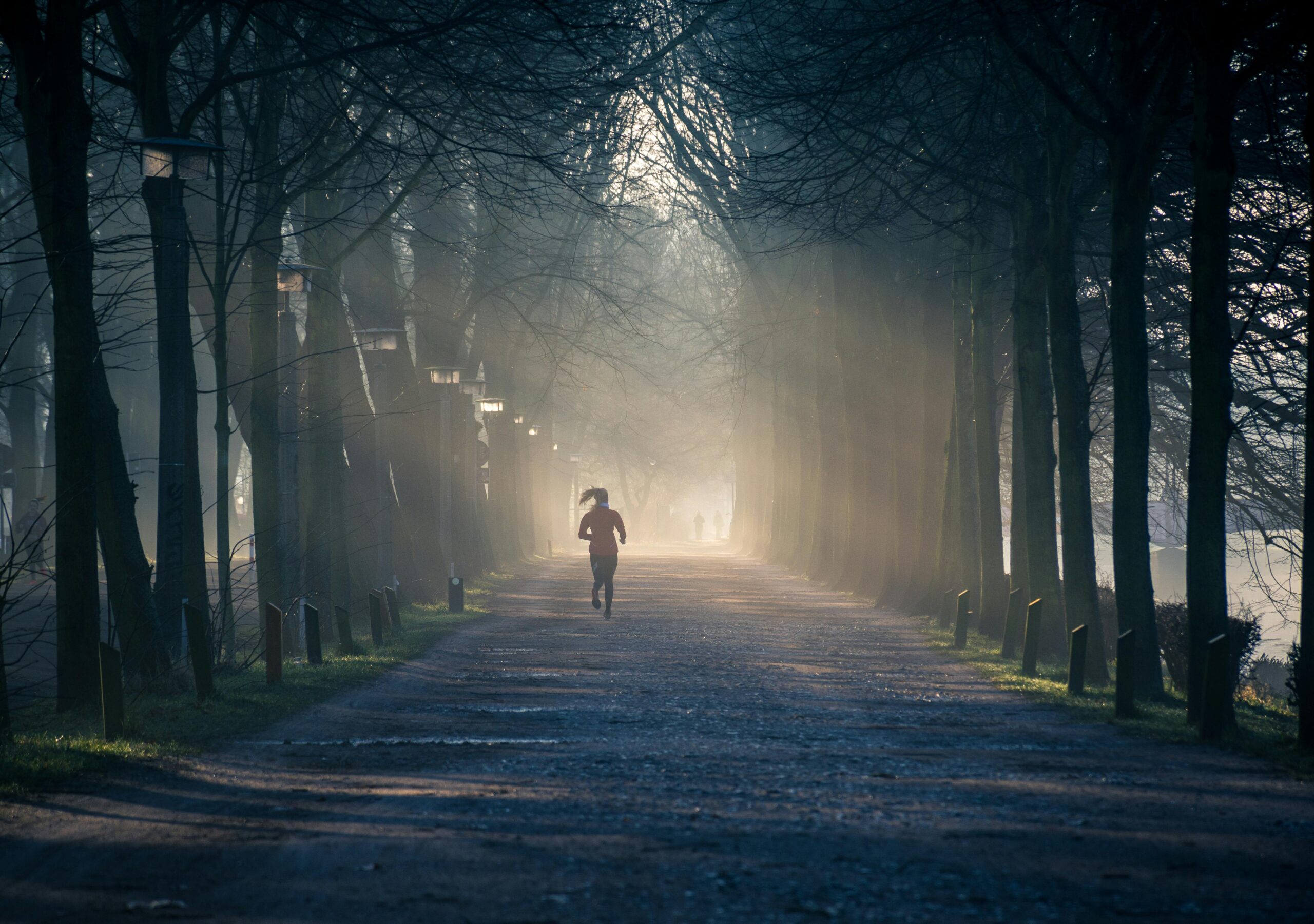 How to Build a Strong Morning Routine for a Successful Day